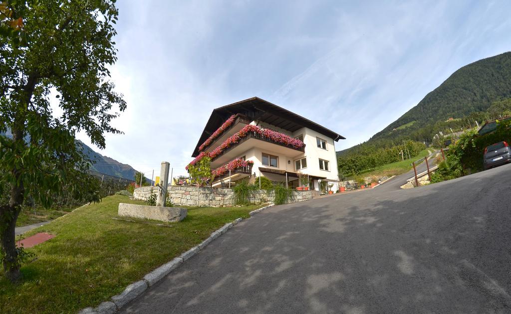 Pension Obertaberhof Scena Exterior foto